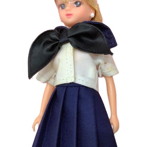 TAKARA (タカラ) リカちゃんのアルバム リカちゃん人形 箱ダメージ有・人形にシミ有