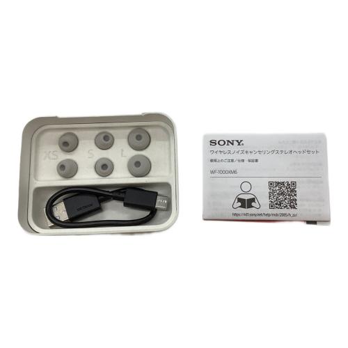 SONY (ソニー) ワイヤレスイヤホン YY2985