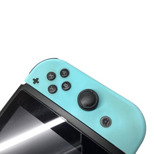 Nintendo (ニンテンドー) Nintendo Switch HAC-001 どうぶつの森