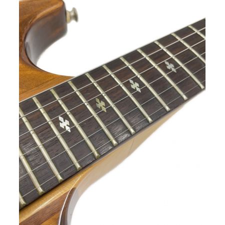 Aria Pro 2 (アリアプロ２) エレキギター トラスロッド両方向に余裕有 TS-500 やや順反り有 動作確認済み