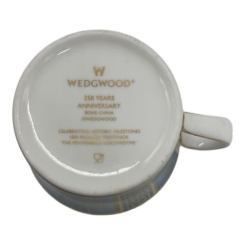 Wedgwood (ウェッジウッド) カップ&ソーサー 底面ヨゴレ有 250周年記念