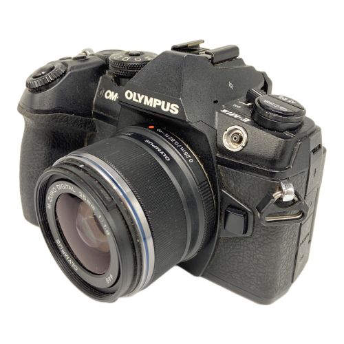 OLYMPUS (オリンパス) ミラーレス一眼カメラ E-M1Ⅱ 専用電池 BHUA25418