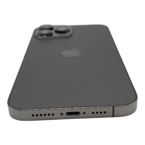 Apple iPhone13 Pro Max