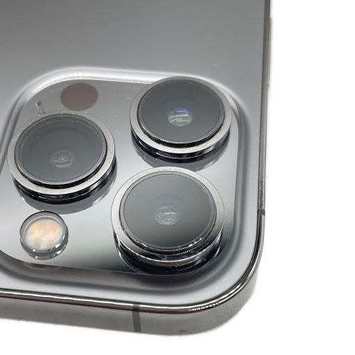 Apple iPhone13 Pro Max