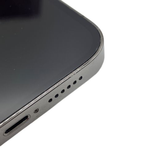 Apple iPhone13 Pro Max