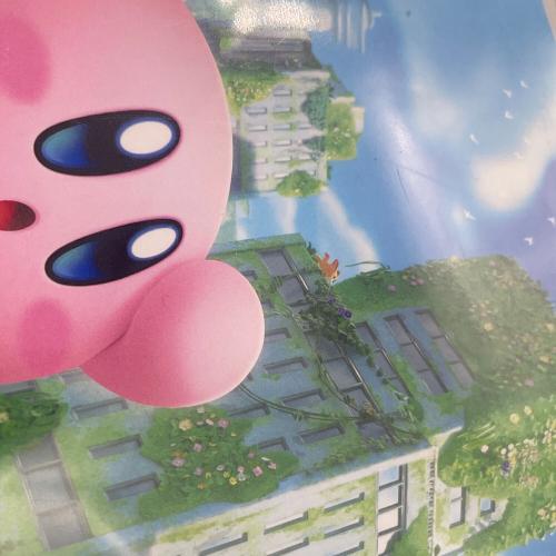 Nintendo (ニンテンドー) Nintendo Switch用ソフト 星のカービィディスカバリー CERO A (全年齢対象)
