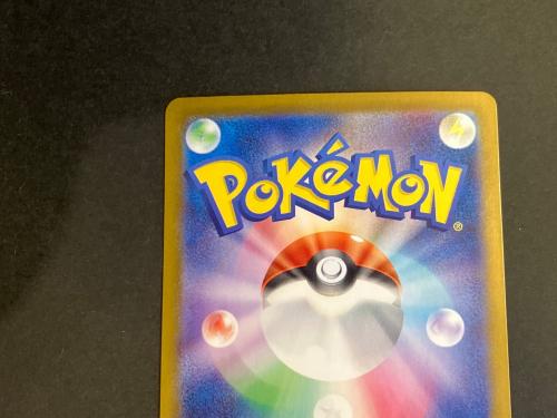 ブースターex ポケモンカード 202/187 SAR