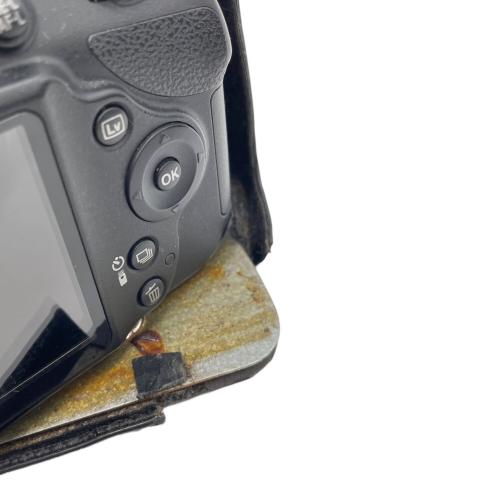 Nikon 一眼レフカメラ ダブルズームキット