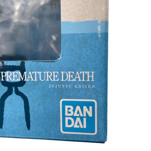 呪術廻戦 (ジュジュツカイセン) 懐玉・玉折 メモリアルフィギュア フィギュア 一番くじ