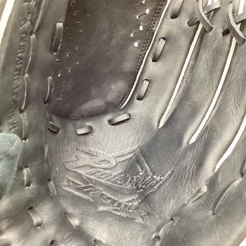 MIZUNO (ミズノ) DEERISH グローブ Professional ブラック