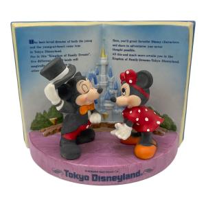 TOKYO DISNEYLAND (トーキョーディズニーランド) フィギュリン ミッキー＆ミニー シンデレラ城