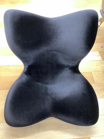 STYLE (スタイル) 座椅子 ブラック スタイルプレミアムデラックス