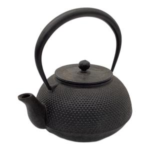 南部鉄器 (ナンブテッキ) 急須 池永