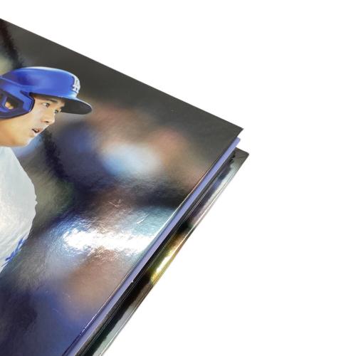 Dodgers (ドジャース) ポストカード 2024年ホームラン王記念セット 切手抜き