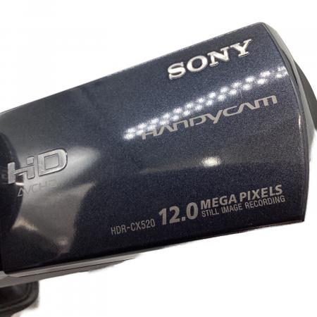 SONY (ソニー) デジタルビデオカメラ HDR-CX520V｜トレファクONLINE