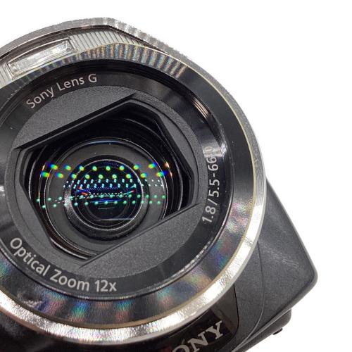 SONY (ソニー) デジタルビデオカメラ HDR-CX520V
