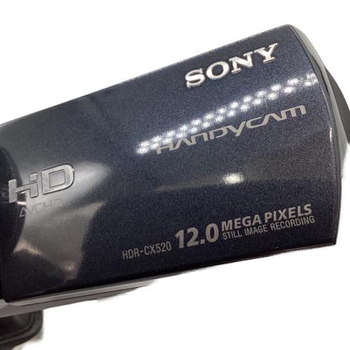 SONY (ソニー) デジタルビデオカメラ HDR-CX520V