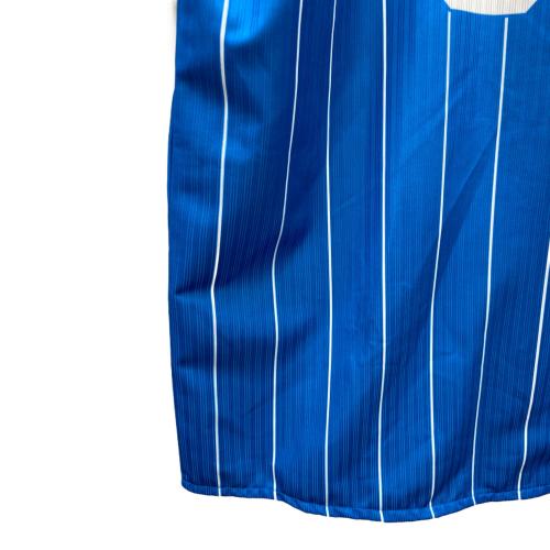 埼玉西武ライオンズ (サイタマセイブライオンズ) 応援グッズ 蒼空ユニフォーム