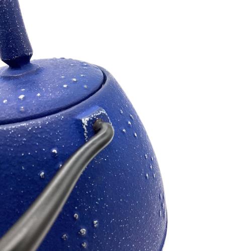 岩鋳 (イワチュウ) 急須 南部鉄器 ブルー ▲ ライス