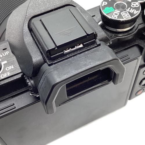OLYMPUS (オリンパス) デジタル一眼レフカメラ OM-D E-M10 MarkIII EZダブルズームキット