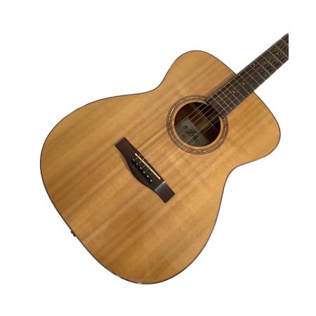ARIA (アリア) アコースティックギター 11108009 ADF-CST