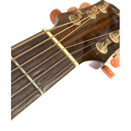 ARIA (アリア) アコースティックギター 11108009 ADF-CST