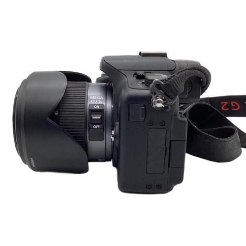 Panasonic デジタル一眼レフカメラ H-FS014045レンズ付 DMC-G2 1306万画素(総画素) フォーサーズ 4/3型 LiveMOS 専用電池 SDHCカード SDカード SDXCカード FT0EA102130