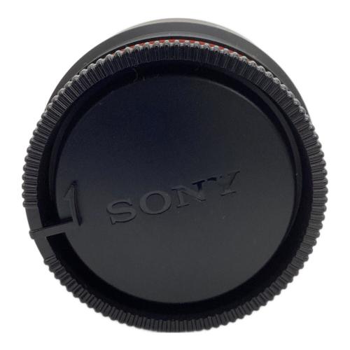 SONY (ソニー) 単焦点マクロレンズ SAL30M28 30mm F2.8 ソニーマウント 1820102
