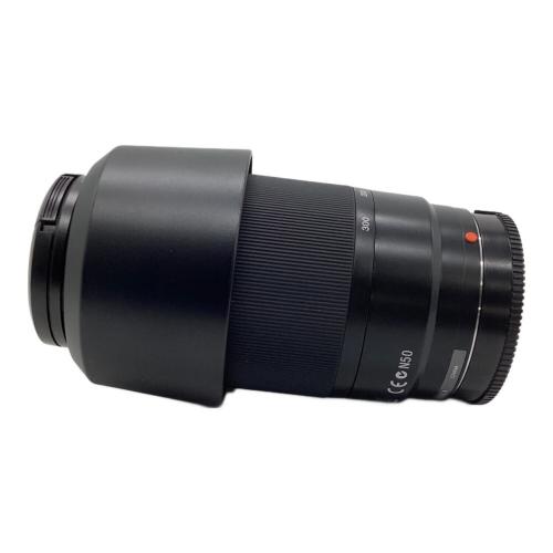 SONY (ソニー) ズームレンズ SAL75300 75-300mm 4.5-5.6 ソニーマウント 2460624