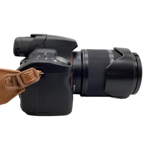 SONY (ソニー) デジタル一眼レフカメラ SLT-A55V 1620万画素 専用電池 SDHCSDXCカード対応 0014785