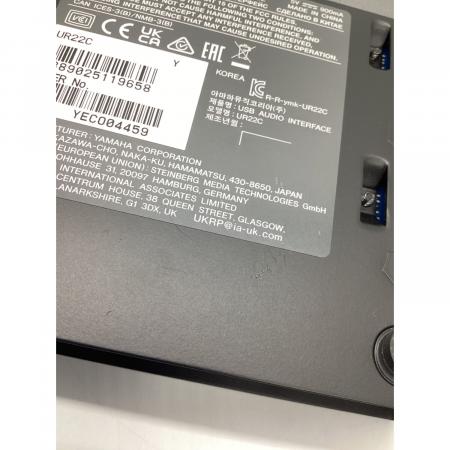 Steinberg (スタインバーグ) オーディオインターフェース UR22C 通電