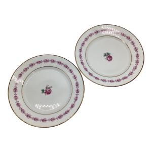 RICHARD GINORI (リチャードジノリ) デザートプレート インペロカメリア 2Pセット