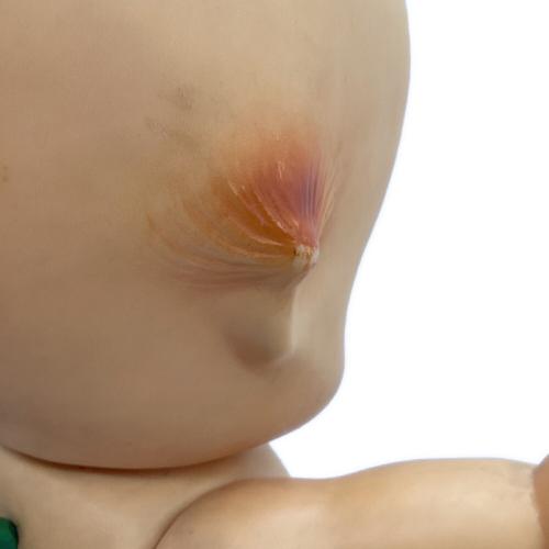 キューピー レトロ 緑の羽 ヤケ有