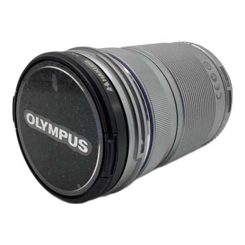 OLYMPUS (オリンパス) ミラーレス一眼カメラ E-PM2 レンズ付属