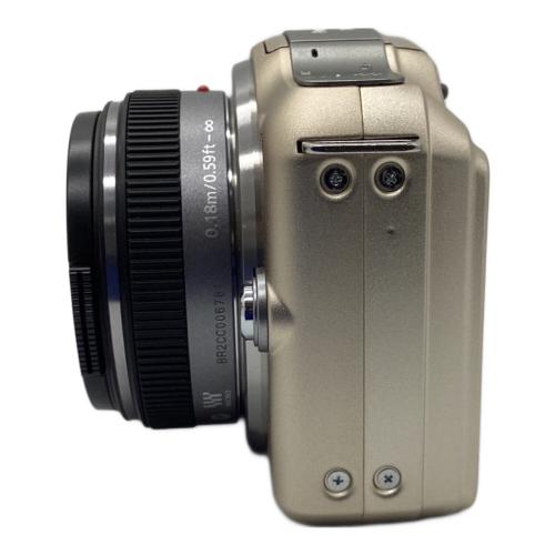 Panasonic (パナソニック) デジタル一眼レフカメラ DMC-GF5