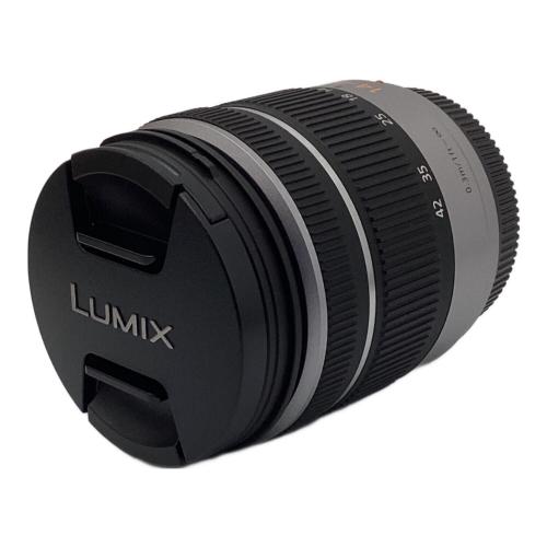 Panasonic (パナソニック) デジタル一眼レフカメラ DMC-GF5