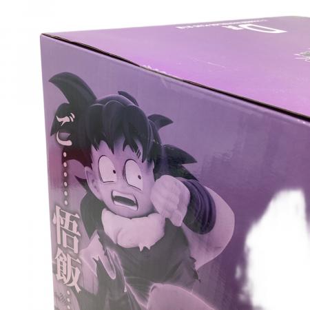 BANDAI (バンダイ) D賞 ピッコロ&孫悟飯 MASTERLISE PLUS