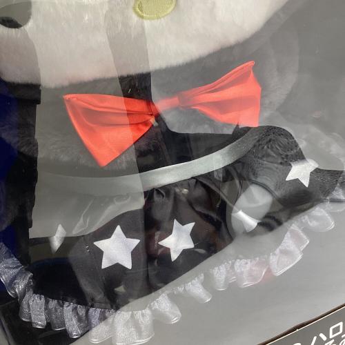 Sanrio (サンリオ) LAST賞 BIG!ハローキティアニバーサリーぬいぐるみ ヌイグルミ