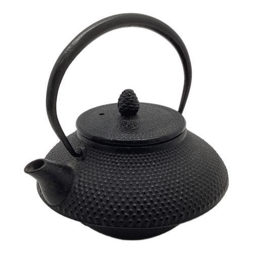 南部鉄器 (ナンブテッキ) 鉄瓶