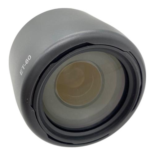 CANON (キヤノン) レンズ 75-300mm -