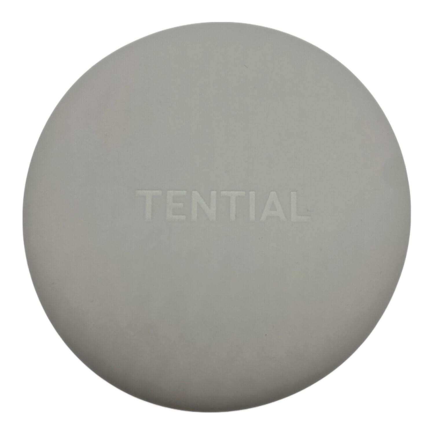 TENTIALネックピロー グレー ケース付き　美品 TENTIAL (テンシャル バクネ) ネックピロー｜トレファクONLINE