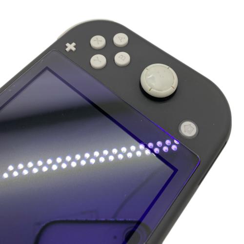 Nintendo (ニンテンドー) Nintendo Switch Lite HDH-001 動作確認済み -