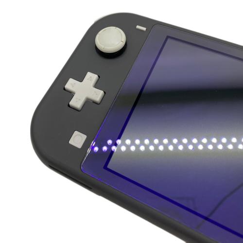 Nintendo (ニンテンドー) Nintendo Switch Lite HDH-001 動作確認済み -
