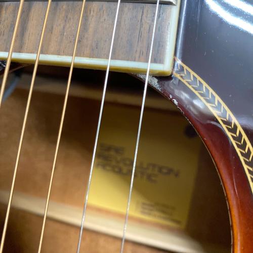 SIRE (サイアー) LARRY CARLTON A3 GA Cutaway VS アコースティックギター