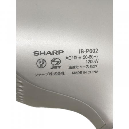 SHARP (シャープ) プラズマクラスタードライヤー IB-P602 2024年製
