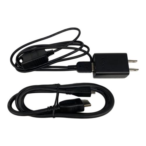 SONY (ソニー) ビデオカメラ HDR-CX470 光学式