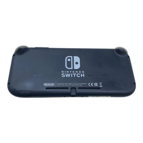 Nintendo (ニンテンドウ) Nintendo Switch Lite HDH-001 ヨゴレ多数