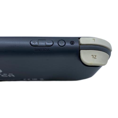 Nintendo (ニンテンドウ) Nintendo Switch Lite HDH-001 ヨゴレ多数