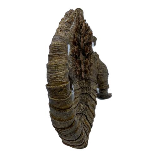 BANDAI (バンダイ) s.h.monsterarts ゴジラ 2016 第4形態 ゴジラストア限定 フィギュア