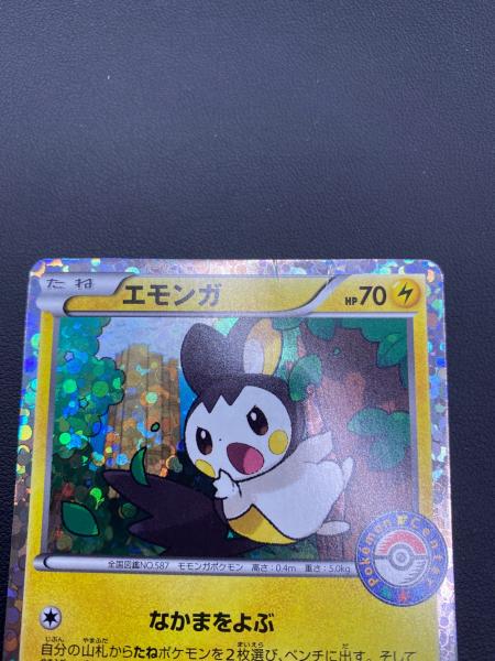 エモンガ ポケモンカード 236/BW-P Pokemon cards promo ポケモン